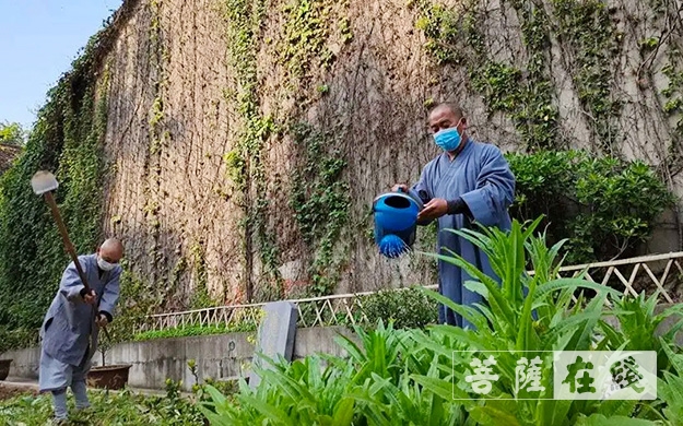 佛教-传承农禅家风 湖北各寺不负农时春耕忙