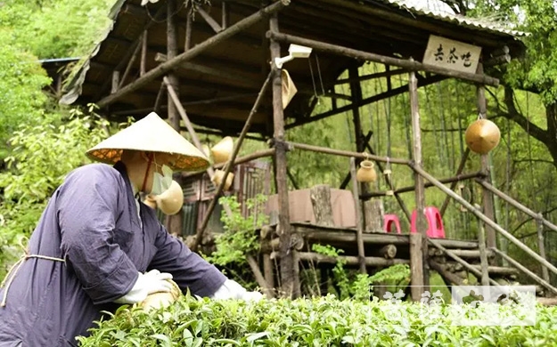 佛教-传承农禅家风 湖北各寺不负农时春耕忙