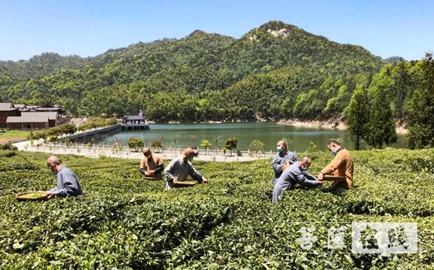 佛教-传承农禅家风 湖北各寺不负农时春耕忙