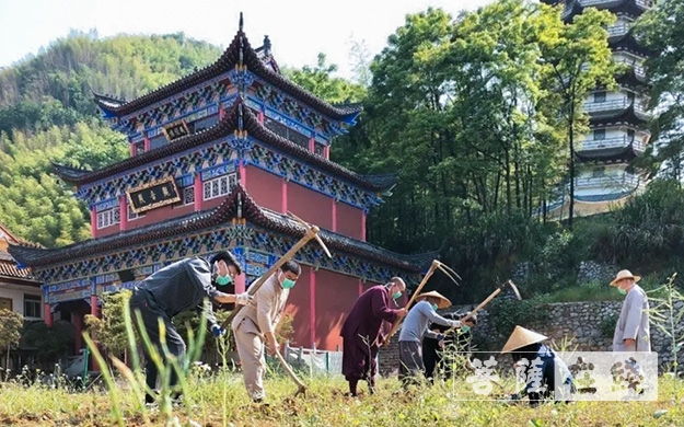 佛教-传承农禅家风 湖北各寺不负农时春耕忙
