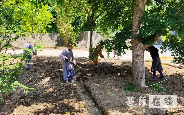 佛教-传承农禅家风 湖北各寺不负农时春耕忙