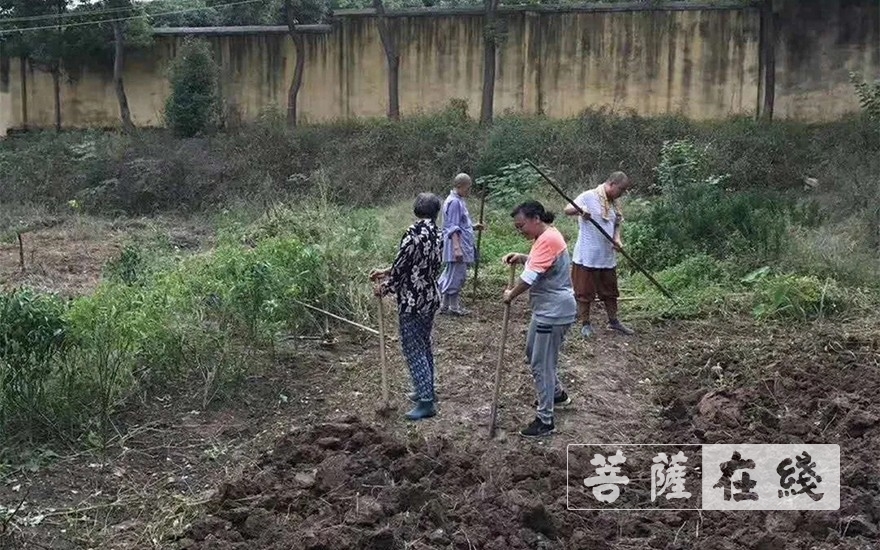 佛教-抢抓农时,自力更生,湖北各寺掀起春耕生产热潮 佛教-抢抓农时,自力更生,湖北各寺掀起春耕生产热潮
