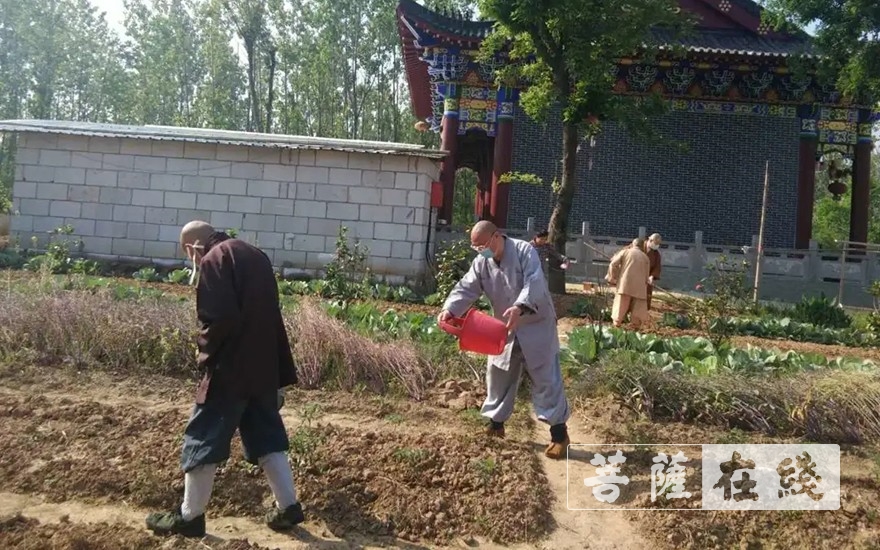 佛教-抢抓农时,自力更生,湖北各寺掀起春耕生产热潮 佛教-抢抓农时,自力更生,湖北各寺掀起春耕生产热潮