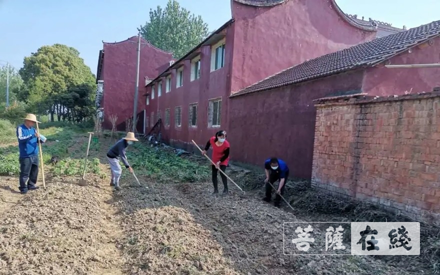 佛教-抢抓农时,自力更生,湖北各寺掀起春耕生产热潮 佛教-抢抓农时,自力更生,湖北各寺掀起春耕生产热潮