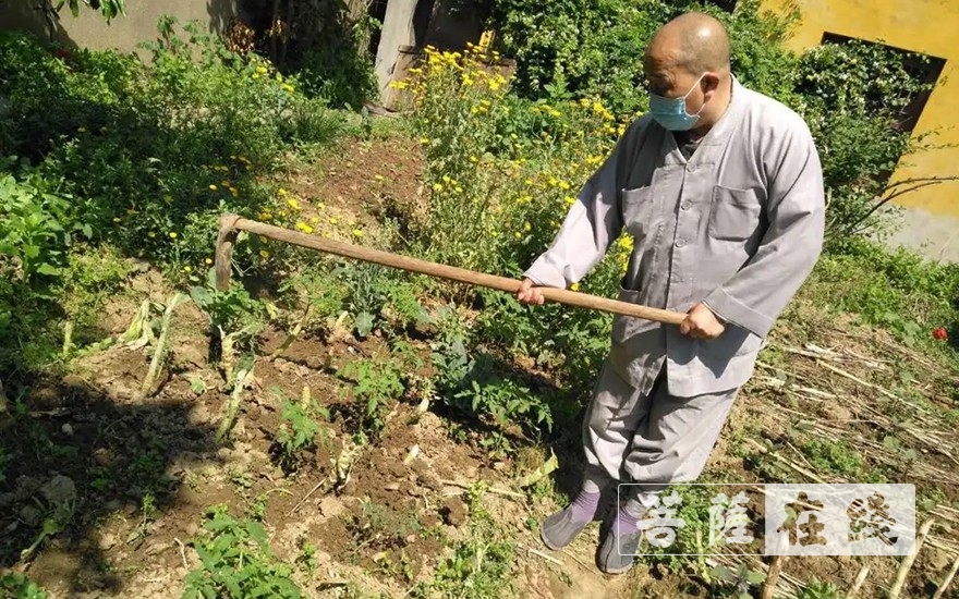 佛教-抢抓农时,自力更生,湖北各寺掀起春耕生产热潮 佛教-抢抓农时,自力更生,湖北各寺掀起春耕生产热潮
