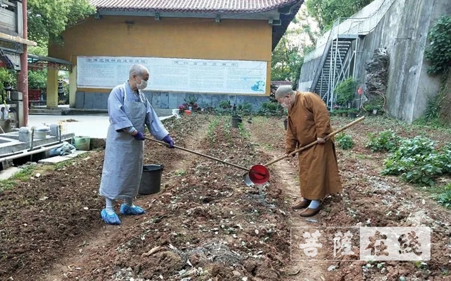 佛教-抢抓农时,自力更生,湖北各寺掀起春耕生产热潮 佛教-抢抓农时,自力更生,湖北各寺掀起春耕生产热潮