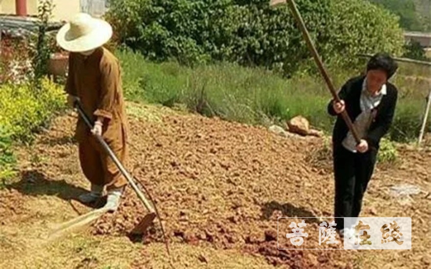 佛教-抢抓农时,自力更生,湖北各寺掀起春耕生产热潮 佛教-抢抓农时,自力更生,湖北各寺掀起春耕生产热潮