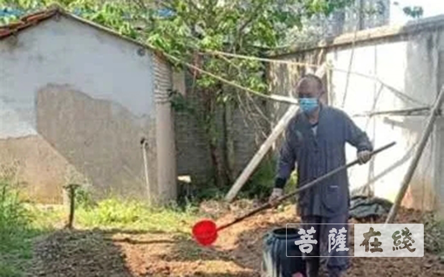 佛教-抢抓农时,自力更生,湖北各寺掀起春耕生产热潮 佛教-抢抓农时,自力更生,湖北各寺掀起春耕生产热潮