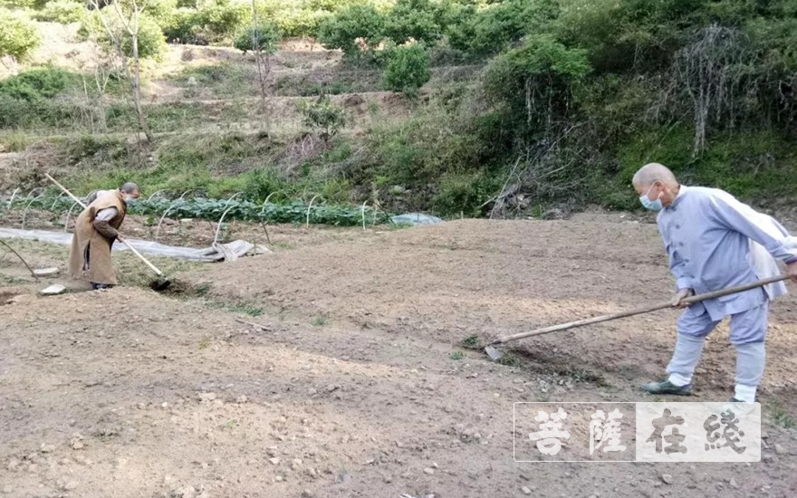 佛教-抢抓农时,自力更生,湖北各寺掀起春耕生产热潮 佛教-抢抓农时,自力更生,湖北各寺掀起春耕生产热潮