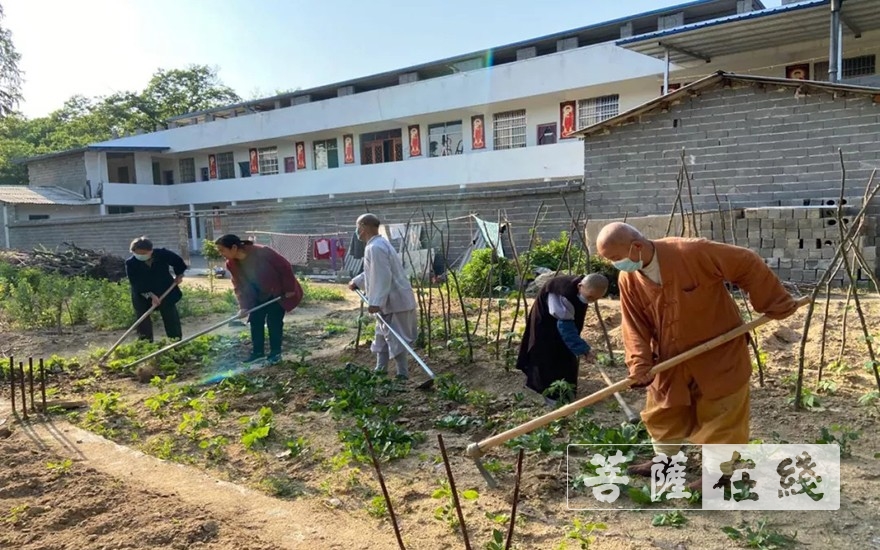佛教-抢抓农时,自力更生,湖北各寺掀起春耕生产热潮 佛教-抢抓农时,自力更生,湖北各寺掀起春耕生产热潮