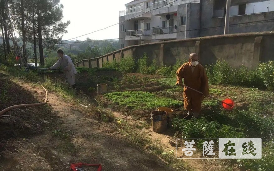 佛教-抢抓农时,自力更生,湖北各寺掀起春耕生产热潮 佛教-抢抓农时,自力更生,湖北各寺掀起春耕生产热潮