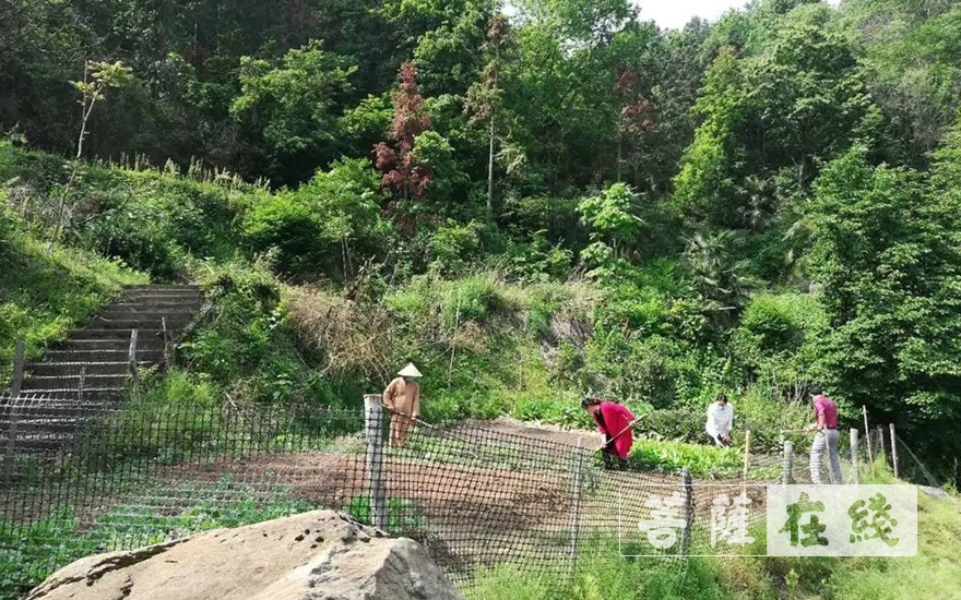 佛教-抢抓农时,自力更生,湖北各寺掀起春耕生产热潮 佛教-抢抓农时,自力更生,湖北各寺掀起春耕生产热潮