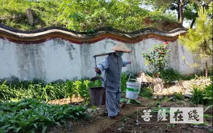 佛教-抢抓农时,自力更生,湖北各寺掀起春耕生产热潮 佛教-抢抓农时,自力更生,湖北各寺掀起春耕生产热潮