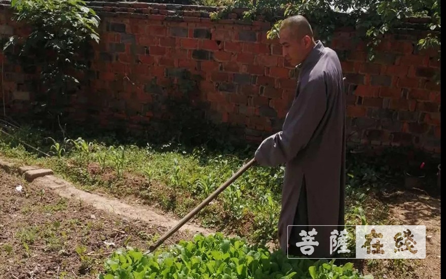 佛教-抢抓农时,自力更生,湖北各寺掀起春耕生产热潮 佛教-抢抓农时,自力更生,湖北各寺掀起春耕生产热潮