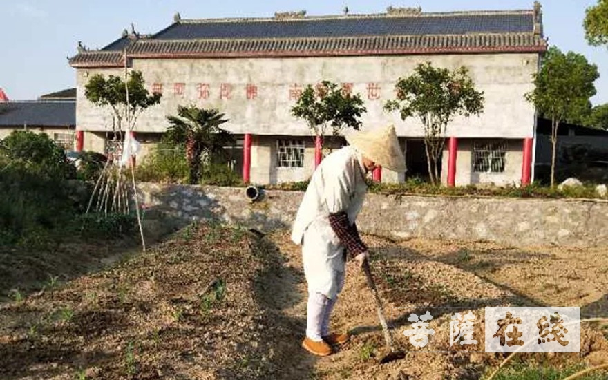 佛教-抢抓农时,自力更生,湖北各寺掀起春耕生产热潮 佛教-抢抓农时,自力更生,湖北各寺掀起春耕生产热潮