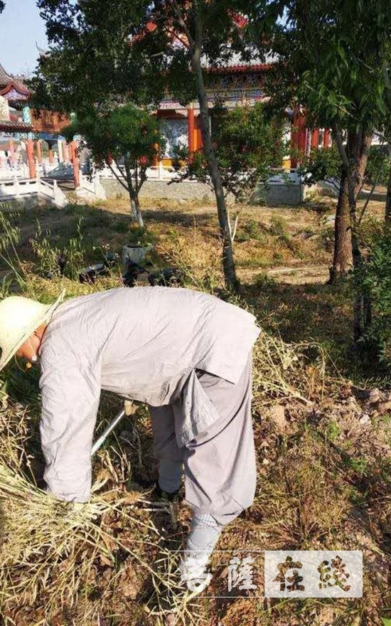 佛教-抢抓农时,自力更生,湖北各寺掀起春耕生产热潮 佛教-抢抓农时,自力更生,湖北各寺掀起春耕生产热潮