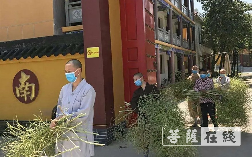 佛教-抢抓农时,自力更生,湖北各寺掀起春耕生产热潮 佛教-抢抓农时,自力更生,湖北各寺掀起春耕生产热潮