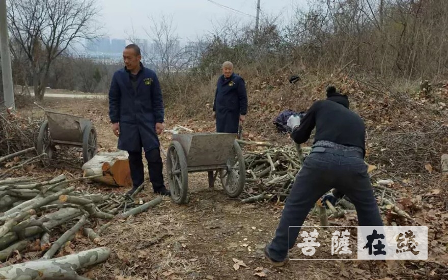 佛教-抢抓农时,自力更生,湖北各寺掀起春耕生产热潮 佛教-抢抓农时,自力更生,湖北各寺掀起春耕生产热潮