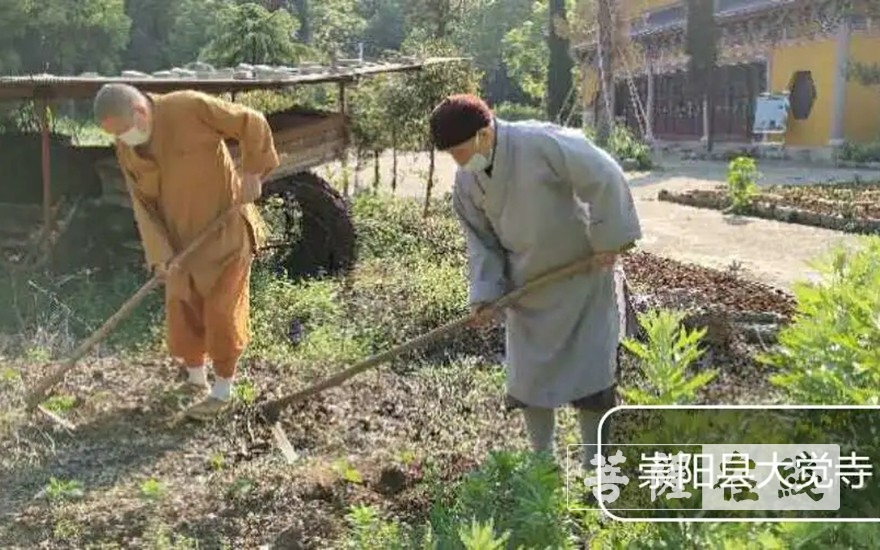 佛教-抢抓农时,自力更生,湖北各寺掀起春耕生产热潮 佛教-抢抓农时,自力更生,湖北各寺掀起春耕生产热潮