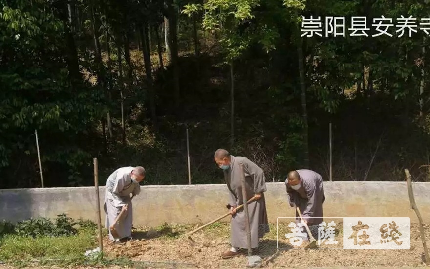 佛教-抢抓农时,自力更生,湖北各寺掀起春耕生产热潮 佛教-抢抓农时,自力更生,湖北各寺掀起春耕生产热潮