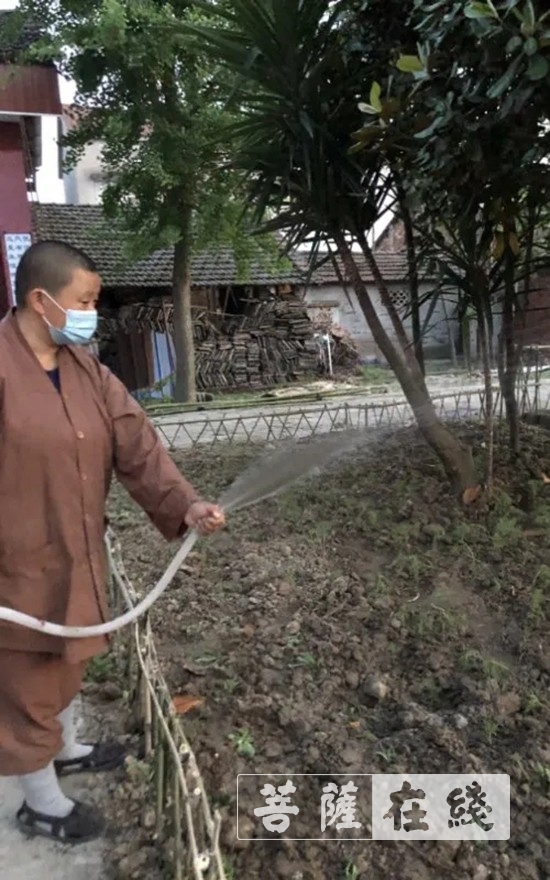 佛教-抢抓农时,自力更生,湖北各寺掀起春耕生产热潮 佛教-抢抓农时,自力更生,湖北各寺掀起春耕生产热潮