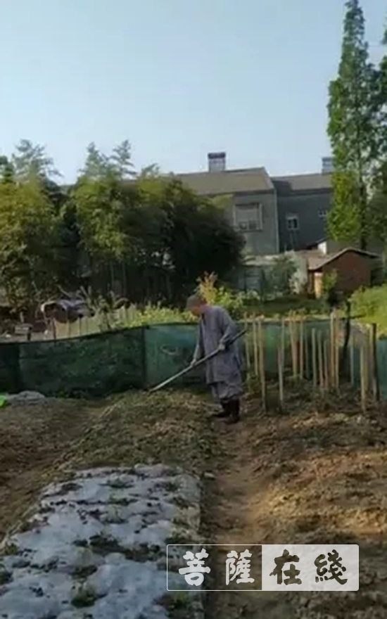 佛教-抢抓农时,自力更生,湖北各寺掀起春耕生产热潮 佛教-抢抓农时,自力更生,湖北各寺掀起春耕生产热潮