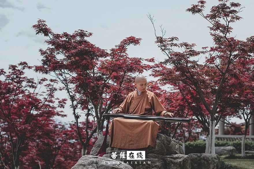 疫情-疫情之下,关闭山门的寺院僧活是怎样的? 疫情-疫情之下,关闭山门的寺院僧活是怎样的?