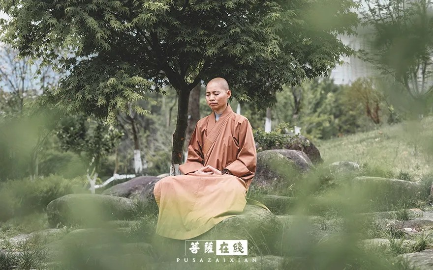 疫情-疫情之下,关闭山门的寺院僧活是怎样的? 疫情-疫情之下,关闭山门的寺院僧活是怎样的?