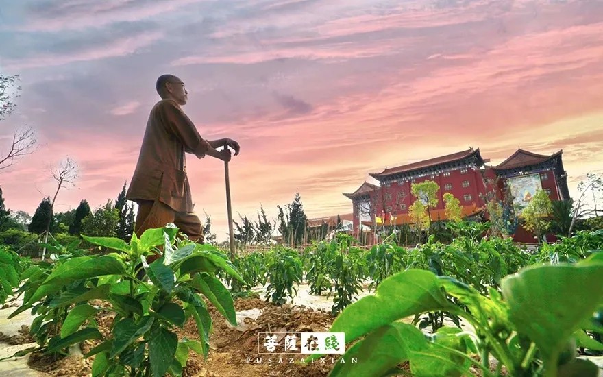 疫情-疫情之下,关闭山门的寺院僧活是怎样的? 疫情-疫情之下,关闭山门的寺院僧活是怎样的?