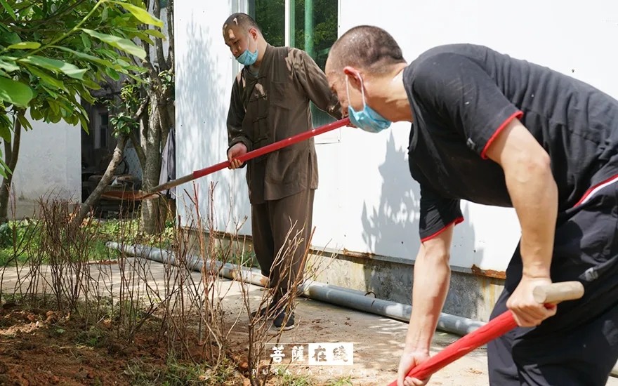 疫情-疫情之下,关闭山门的寺院僧活是怎样的? 疫情-疫情之下,关闭山门的寺院僧活是怎样的?