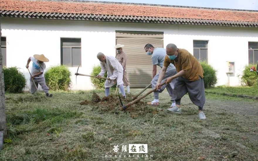 疫情-疫情之下,关闭山门的寺院僧活是怎样的? 疫情-疫情之下,关闭山门的寺院僧活是怎样的?