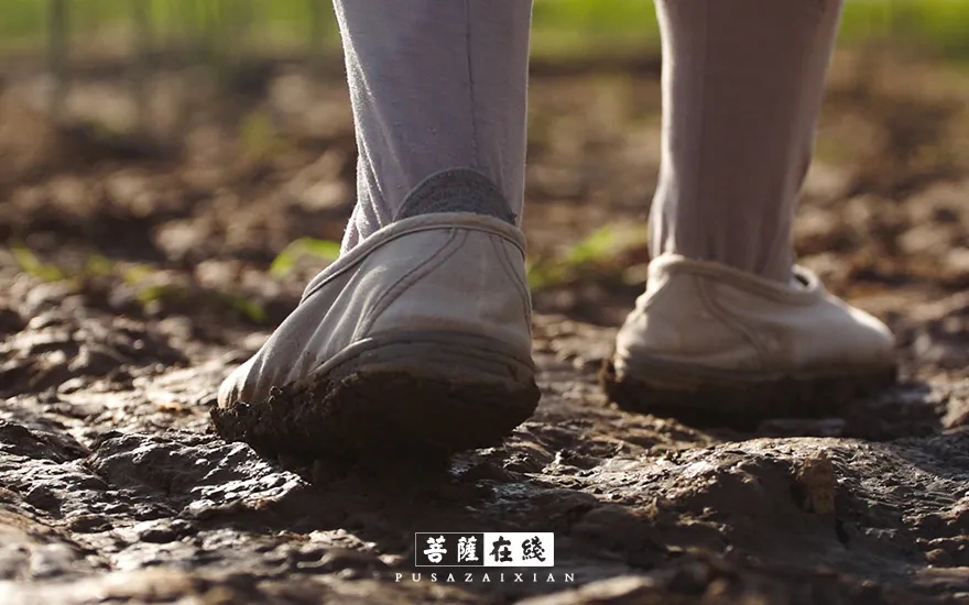 疫情-疫情之下,关闭山门的寺院僧活是怎样的? 疫情-疫情之下,关闭山门的寺院僧活是怎样的?