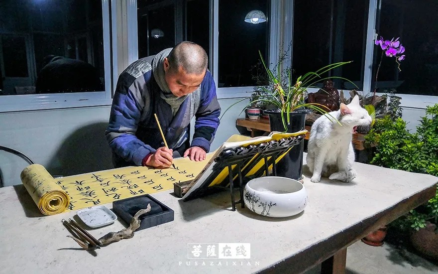 疫情-疫情之下,关闭山门的寺院僧活是怎样的? 疫情-疫情之下,关闭山门的寺院僧活是怎样的?