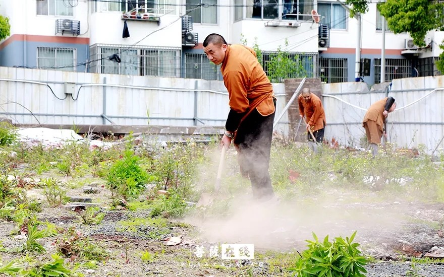 疫情-疫情之下,关闭山门的寺院僧活是怎样的? 疫情-疫情之下,关闭山门的寺院僧活是怎样的?