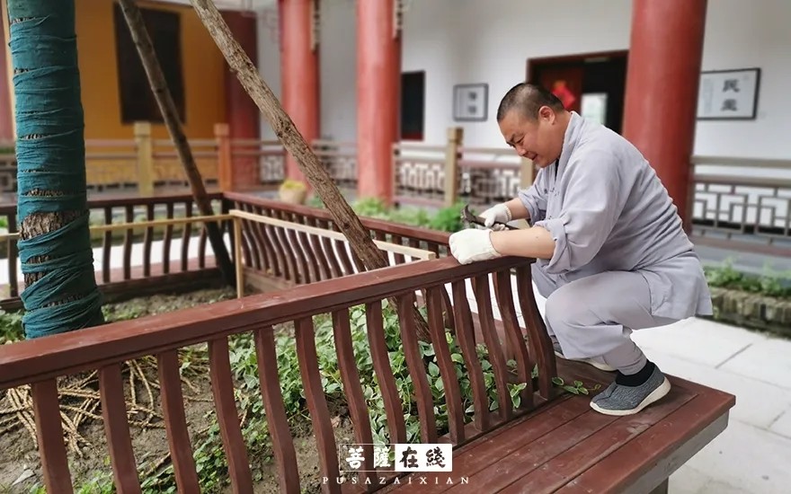 疫情-疫情之下,关闭山门的寺院僧活是怎样的? 疫情-疫情之下,关闭山门的寺院僧活是怎样的?