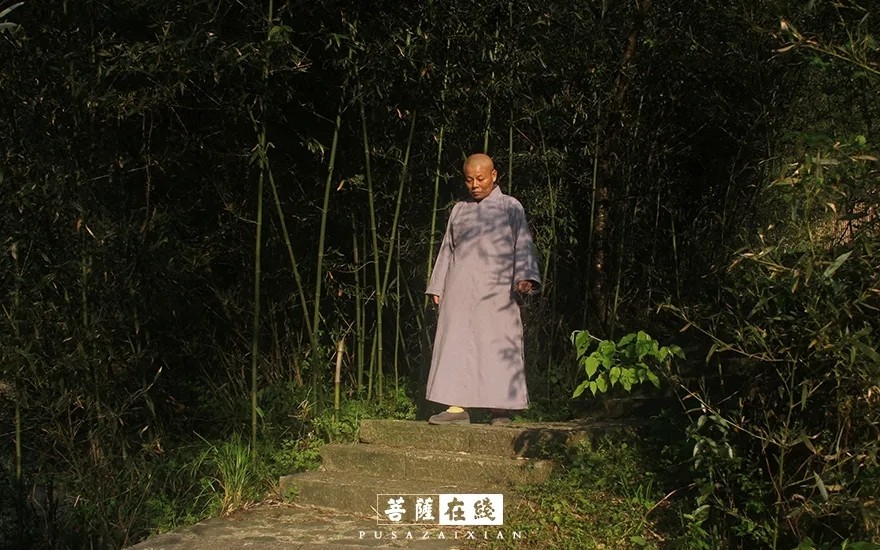 疫情-疫情之下,关闭山门的寺院僧活是怎样的? 疫情-疫情之下,关闭山门的寺院僧活是怎样的?