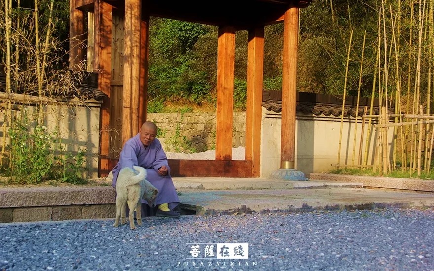 疫情-疫情之下,关闭山门的寺院僧活是怎样的? 疫情-疫情之下,关闭山门的寺院僧活是怎样的?