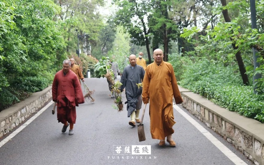 疫情-疫情之下,关闭山门的寺院僧活是怎样的? 疫情-疫情之下,关闭山门的寺院僧活是怎样的?