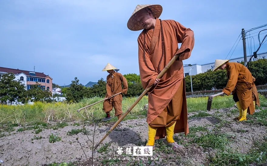 疫情-疫情之下,关闭山门的寺院僧活是怎样的? 疫情-疫情之下,关闭山门的寺院僧活是怎样的?