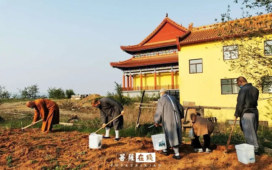 疫情-疫情之下,关闭山门的寺院僧活是怎样的? 疫情-疫情之下,关闭山门的寺院僧活是怎样的?