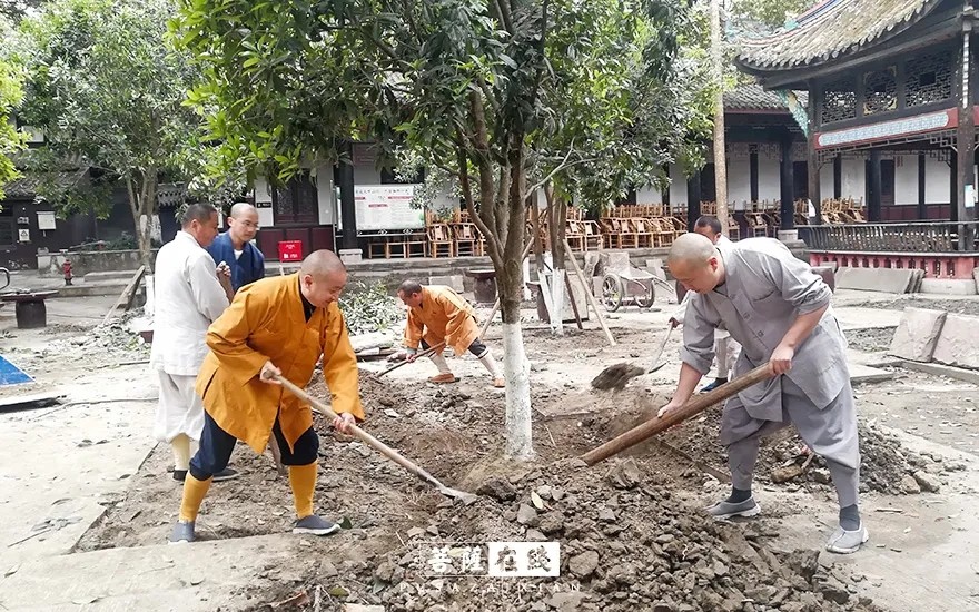 疫情-疫情之下,关闭山门的寺院僧活是怎样的? 疫情-疫情之下,关闭山门的寺院僧活是怎样的?