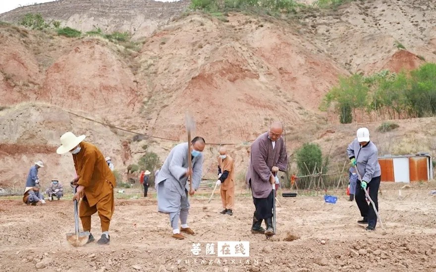 疫情-疫情之下,关闭山门的寺院僧活是怎样的? 疫情-疫情之下,关闭山门的寺院僧活是怎样的?