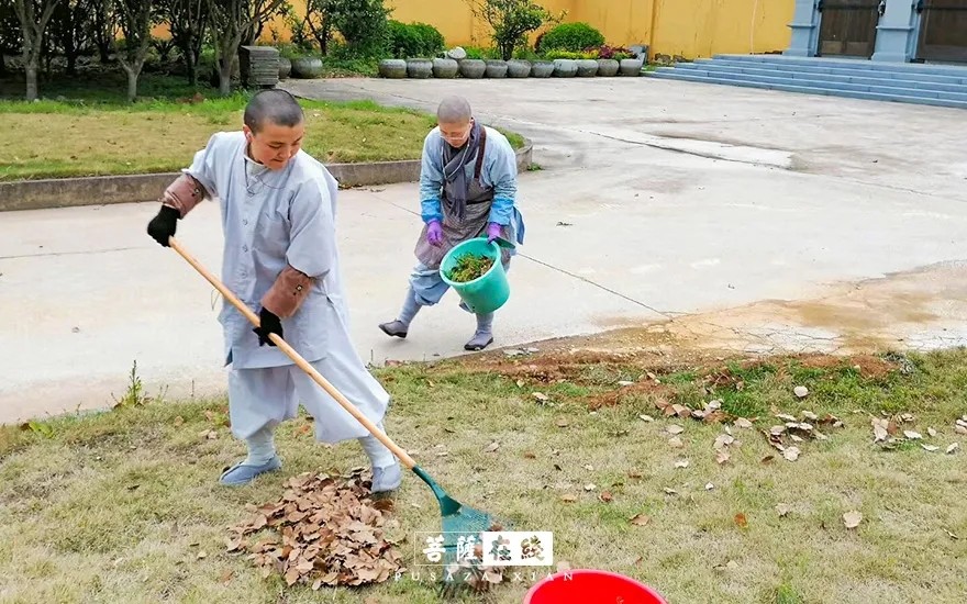 疫情-疫情之下,关闭山门的寺院僧活是怎样的? 疫情-疫情之下,关闭山门的寺院僧活是怎样的?