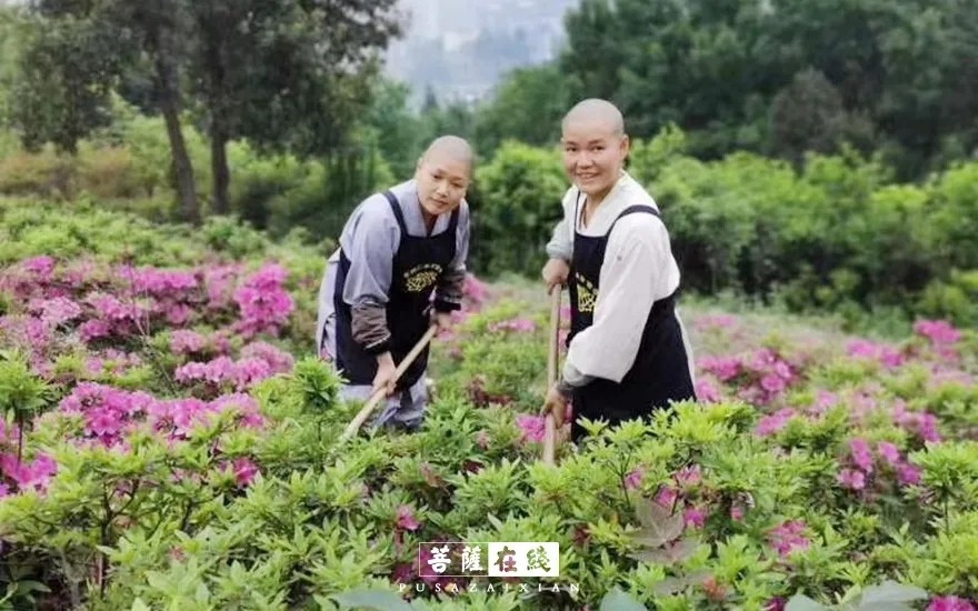 疫情-疫情之下,关闭山门的寺院僧活是怎样的? 疫情-疫情之下,关闭山门的寺院僧活是怎样的?