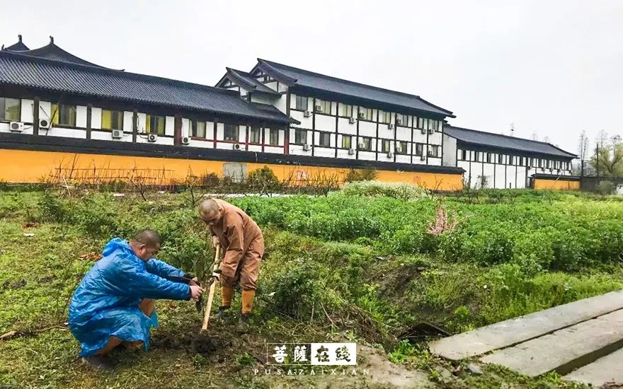 疫情-疫情之下,关闭山门的寺院僧活是怎样的? 疫情-疫情之下,关闭山门的寺院僧活是怎样的?