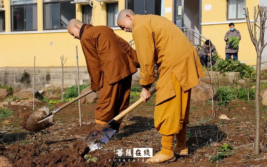 疫情-疫情之下,关闭山门的寺院僧活是怎样的? 疫情-疫情之下,关闭山门的寺院僧活是怎样的?
