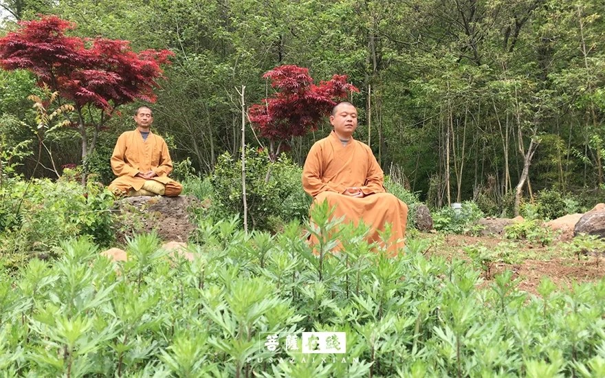 疫情-疫情之下,关闭山门的寺院僧活是怎样的? 疫情-疫情之下,关闭山门的寺院僧活是怎样的?