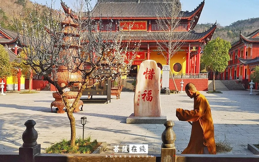 疫情-疫情之下,关闭山门的寺院僧活是怎样的? 疫情-疫情之下,关闭山门的寺院僧活是怎样的?