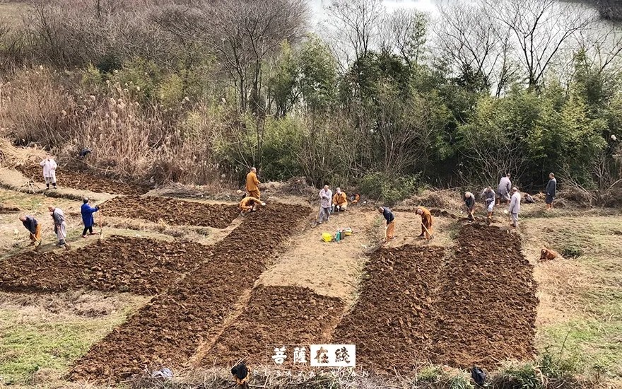 疫情-疫情之下,关闭山门的寺院僧活是怎样的? 疫情-疫情之下,关闭山门的寺院僧活是怎样的?