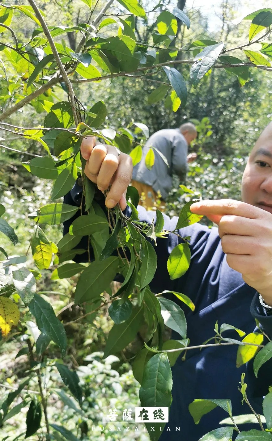疫情-疫情之下,关闭山门的寺院僧活是怎样的? 疫情-疫情之下,关闭山门的寺院僧活是怎样的?